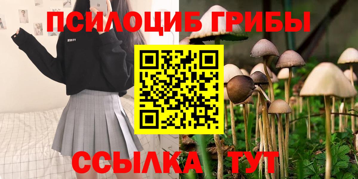 Галлюциногенные грибы MAGIC MUSHROOMS Курчатов