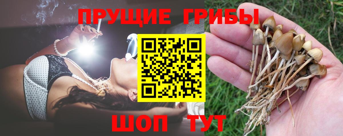 Галлюциногенные грибы мицелий  Псилоцибиновые грибы Psilocybine cubensis  наркота  Курчатов  Вход с VPN 